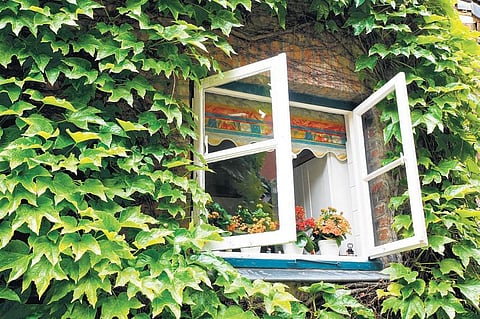 காற்று வர வழிசெய்வோம்