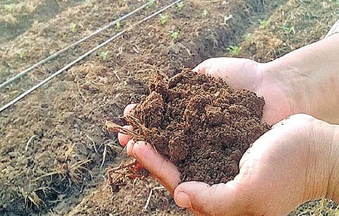 குப்பையாகக் கருதுகிறோம் மண்ணை!