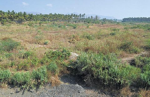 மாசுபட்ட பாலாற்றை மீட்க புதிய தொழில்நுட்பம், தோல் தொழிற்சாலைகளின் குரோமியம் விஷத்தை அகற்ற உயிரி - நிவாரணம்: விஞ்ஞானிகள் தகவல்