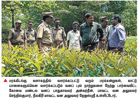 மாவோயிஸ்ட்கள் ஊடுருவலைத் தடுக்க பழங்குடியினரிடம் வனத்துறையினர் நட்புடன் பழக வேண்டும்: வனப் பாதுகாவலர்