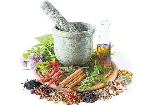 ஆதிவாசி வைத்தியர்களின் பரம்பரை மருத்துவம்