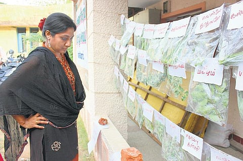 நமது வாரிசுகளுக்கு விட்டுச் செல்லும் பொக்கிஷம்