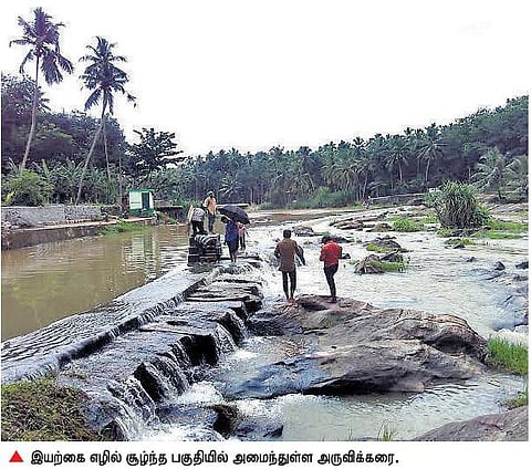 திற்பரப்பு அருகில் அழகு மிளிரும் அருவிக்கரை: சுற்றுலாவை மேம்படுத்த நடவடிக்கை தேவை