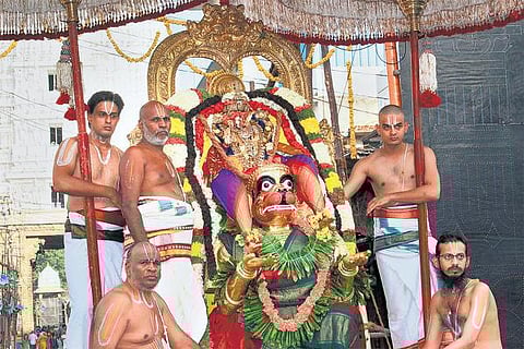 ஹனுமன் வாகனத்தில் கோவிந்தராஜர் ஊர்வலம்