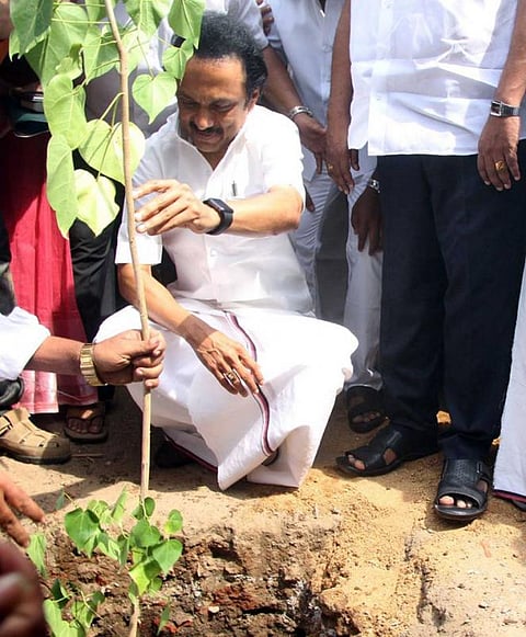 கருணாநிதி பிறந்த நாளையொட்டி 92 லட்சம் மரக்கன்றுகள் நடும் திட்டம்: ஸ்டாலின் தொடங்கி வைத்தார்