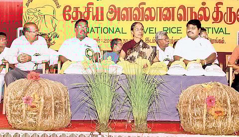 நெல்லைப் போற்றிய இயற்கைத் திருவிழா