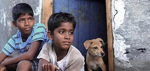 ட்வீட்டாம்லேட்: மவுஸாளர்கள் கொண்டாடும் காக்கா முட்டை!