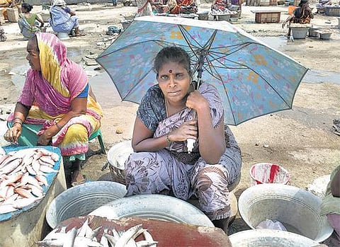 குடிநீர், கழிப்பிடம், சந்தை மேடை என அடிப்படை வசதியின்றி காசிமேடு மீன்பிடி துறைமுகம்: வெயிலில் கருவாடாகும் வியாபாரிகள்
