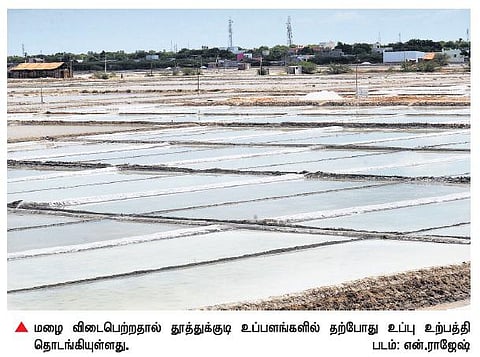 உப்பு தொழிலுக்கு உயிர்கொடுக்குமா தென்மேற்கு பருவக்காற்று? - உற்பத்தியாளர்கள் மிகுந்த எதிர்பார்ப்பு
