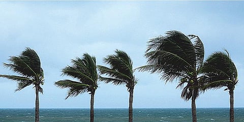 பருவமழையும் பொருளாதாரமும்...