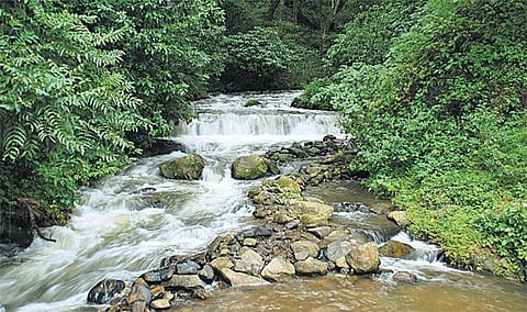 ஒரு நதியின் வாக்குமூலம்: கேரளம் சென்று திரும்பும் பவானி!