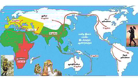 அறிவியல் அறிவோம்- 16: ஆப்பிரிக்காவிலிருந்து ஏன் வந்தோம்?