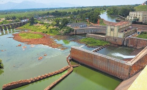 ஒரு நதியின் வாக்குமூலம்: பவானியைக் காக்க உணர்வுடன் திரண்ட மக்கள்!
