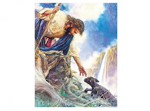 விவிலிய வழிகாட்டி: ஆடு மேய்ப்பது அத்தனை சுலபமானதா?