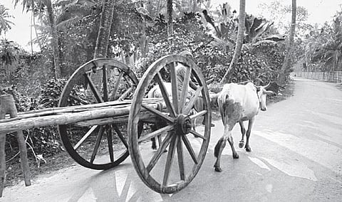 காவிரிக் கரையும் கட்டை வண்டியும்