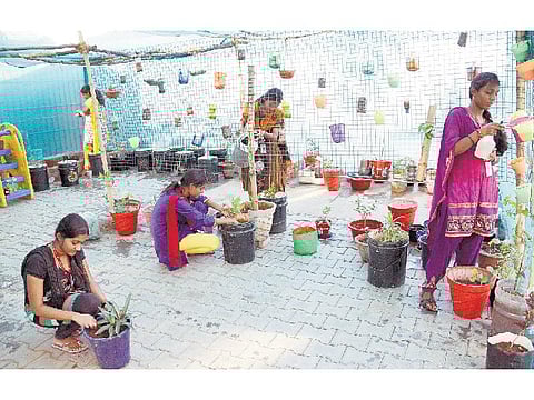 இளம் பெண்களின் இயற்கைத் தோட்டம்