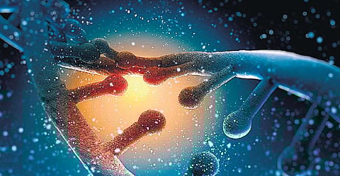 அறிவியல் அறிவோம்- 17: எமனை இனி மெல்லக் கொல்லலாம்