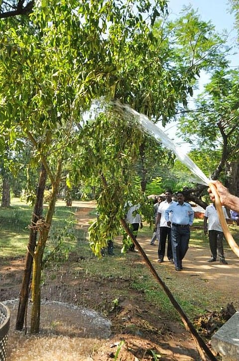 சிட்டுக்குருவிகளை பாதுகாக்க மரக்கிளைகளில் செயற்கை கூண்டு: புதுச்சேரி நகராட்சி புது முயற்சி
