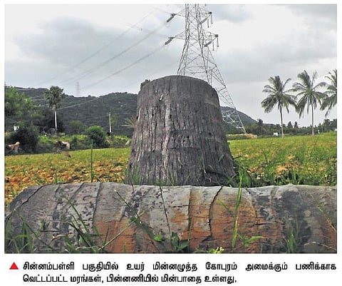 தருமபுரியில் உயர் மின்னழுத்த பாதை அமைக்க வெட்டிய மரங்களுக்கு இழப்பீடு வழங்கவில்லை: விவசாயிகள் வேதனை