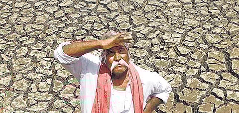 ஏரின்றி அமையாது உலகு: பொருளாதார நிபுணர்களால் மழையைக் கொண்டுவர முடியுமா?