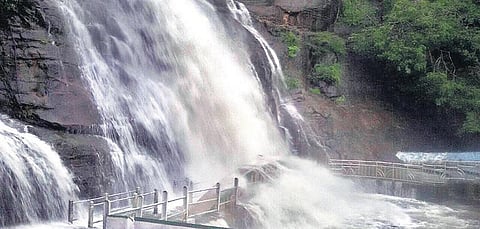 சீஸன் தொடங்கிய பிறகு முதன்முறையாக குற்றாலம் அருவிகளில் திடீர் வெள்ளம்: பிரதான அருவி, ஐந்தருவியில் குளிக்க தடை