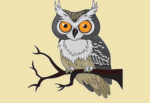 குழந்தைப் பாடல்: ஆலமர ஆந்தை