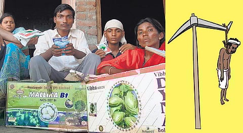 தற்கொலைகளை அதிகரிக்கும் பி.டி. பருத்தி