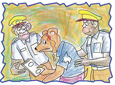 சித்திரக்கதை: கரடி தலையில் தர்பூசணி