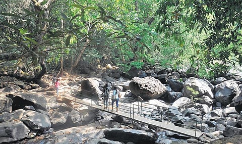 வனங்களை இழக்காதிருப்போம்