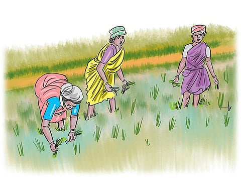 ஏரின்றி அமையாது உலகு: உயிர்ம வேளாண்மைக்குப் புத்துயிர் கிடைக்குமா?