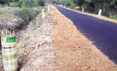 மக்களவை உறுப்பினர்கள் பாணியில் கிராமத்தை தத்தெடுத்த இளைஞர்கள்