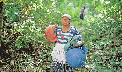 பேசும் படம்: துயரத்தின் பாதை