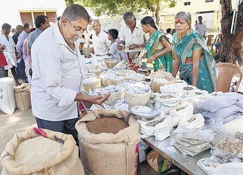 கடலை மிட்டாயோடு காணாமல் போனவை: உண்மையை உணர்த்திய இயற்கைத் திருவிழா