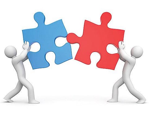 அமெரிக்க நிறுவனத்தை வாங்கியது லுபின்