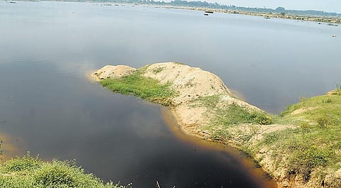 பாலாறு: சீரழிவுக்கு வித்திட்ட தோல் ஆலைகள்