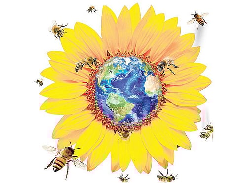 இயற்கையை ஏன் பாதுகாக்க வேண்டும்?