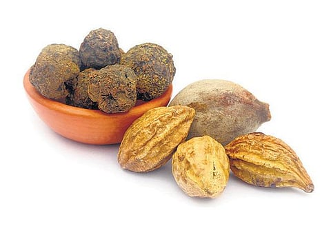 அற்புத ஆயுர்வேத மருந்து