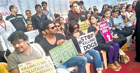 தெரு நாய்களை கொல்லும் நடவடிக்கை: கேரளாவுக்கு எதிர்ப்பு தெரிவித்து சென்னையில் உண்ணாவிரதம்