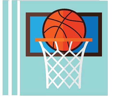 750 வீரர், வீராங்கனைகள் பங்கேற்கும் பள்ளிகள் இடையிலான கூடைப்பந்து போட்டி: சென்னையில் இன்று தொடக்கம்