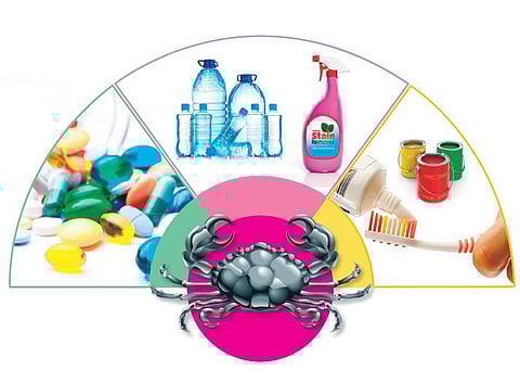 வீடுகளில் புற்றுநோயை வளர்க்கிறோமா?