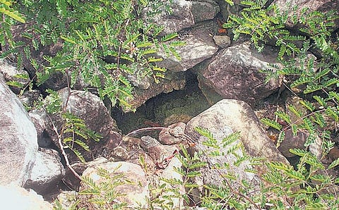 ஜவ்வாது மலையில் 3 ஆயிரம் ஆண்டுகளுக்கு முந்தைய கல்திட்டைகள் கண்டுபிடிப்பு