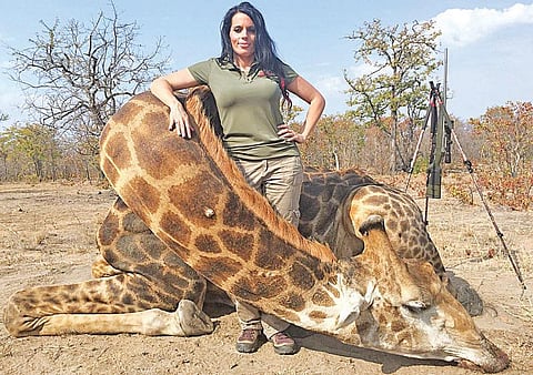 ஒட்டகச்சிவிங்கியை கொன்று கொண்டாட்டம்: அமெரிக்க பெண்ணுக்கு பலத்த எதிர்ப்பு