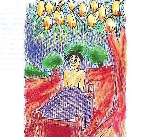 சித்திரக்கதை: கஞ்சனை வீழ்த்திய பேராசை