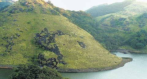 தாமிரபரணி: ஆளை விழுங்கும் புல்வெளி காட்டுப் பயணம்