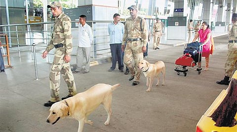 கருணைக் கொலையை தடுக்க ராணுவ மோப்ப நாய்களை தத்து கொடுக்க திட்டம்