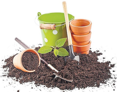 வீட்டிலேயே எரு தயாரிக்கலாம்