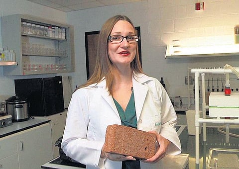 மாற்றுக் கட்டுமானப் பொருள்: தானாக வளரும் செங்கல்