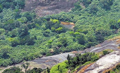 பூங்குளத்தில் பிறக்கிறாள் தாமிரபரணி