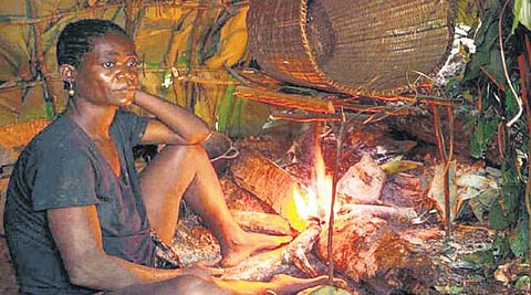 வனங்களை இழக்கும் பழங்குடிகள்!