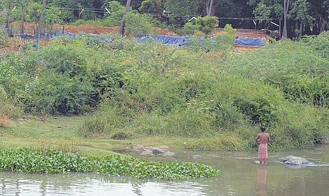 தாமிரபரணி: ஆக்கிரமிப்புக் கரை ஆன ஆற்றங்கரை